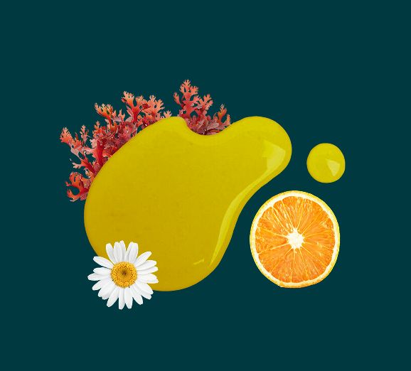 Orange slice, chamomile flower, Irish moss and a drop of botanical oil