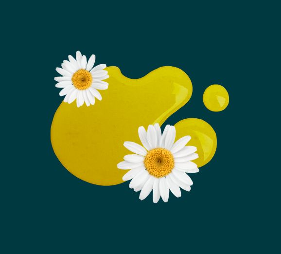 Chamomile flowers with a drop of golden extract