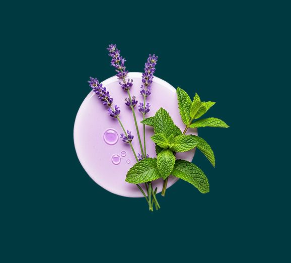 Lavender sprigs and fresh mint leaves