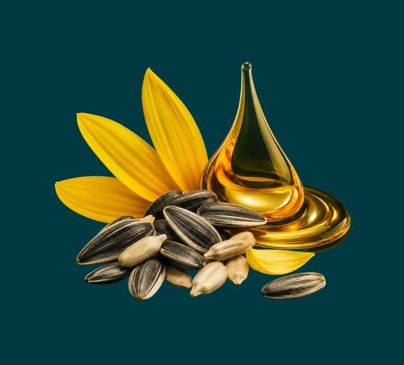 Sunflower petals, seeds and a drop of golden oil representing vitamin E